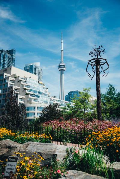 Aquabella Condos Garden View Toronto, Canada