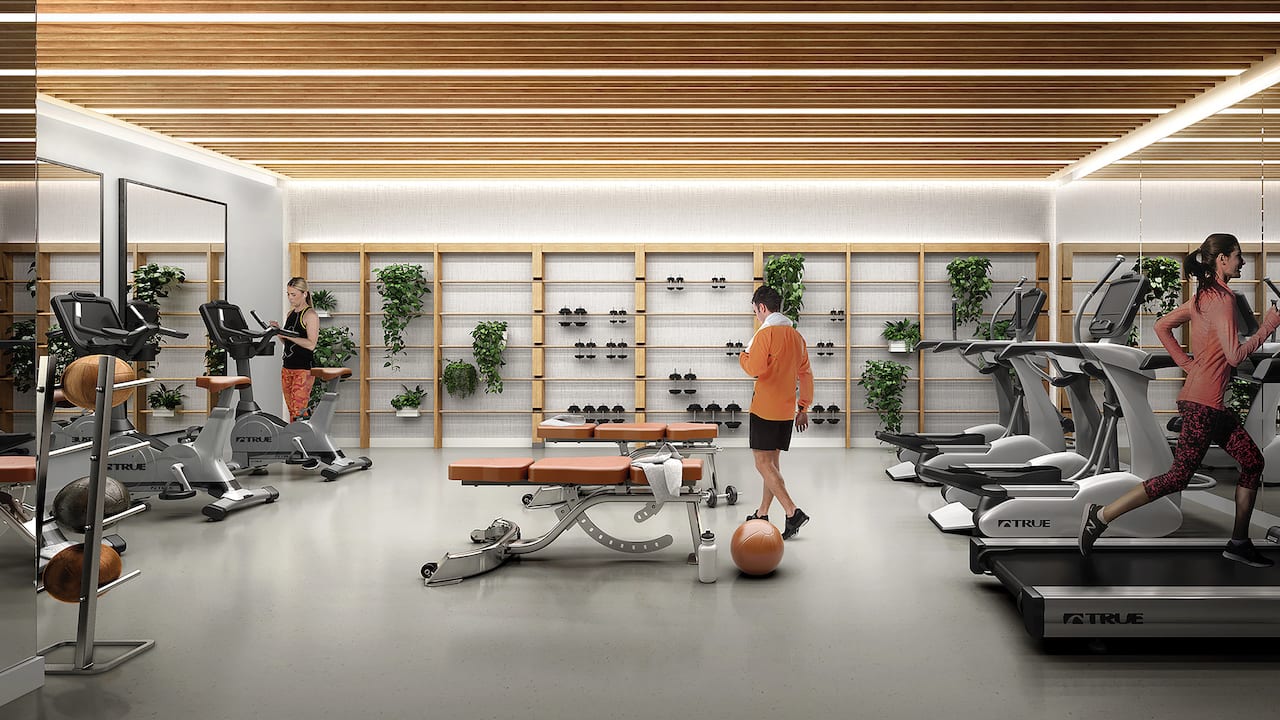 Rendering of 260 High Park gym