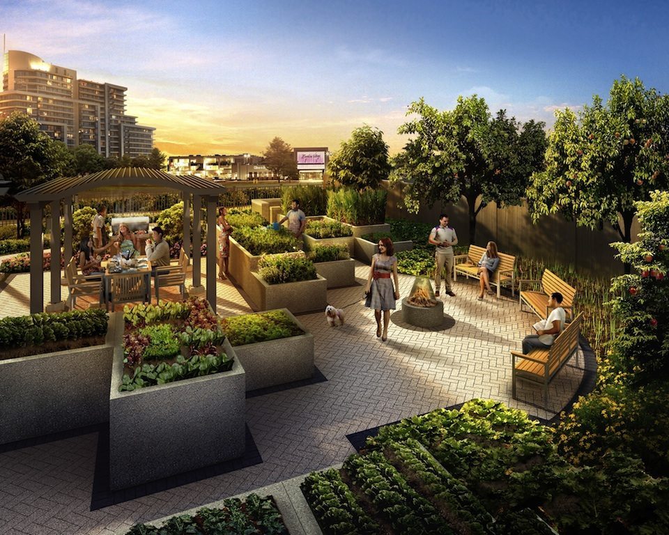 NY Place Condos Outdoor Garden Toronto, Canada