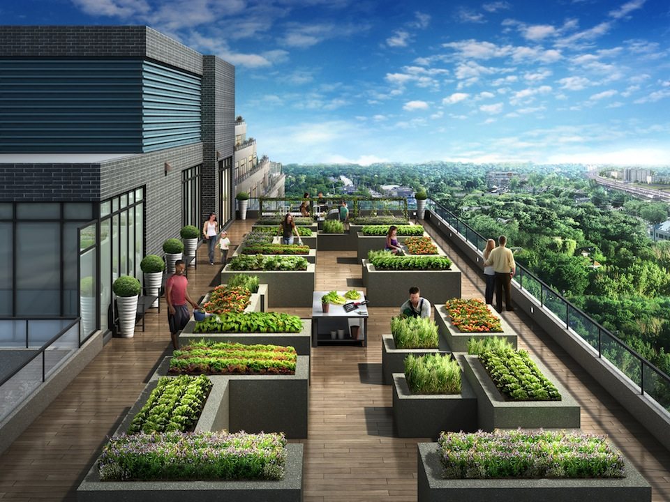 NY2 Condominiums Condos Terrace View Toronto, Canada