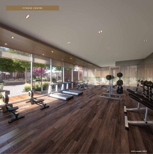 TANU Condos Gym