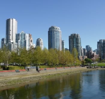 Skyline of high-rise condo buildings.