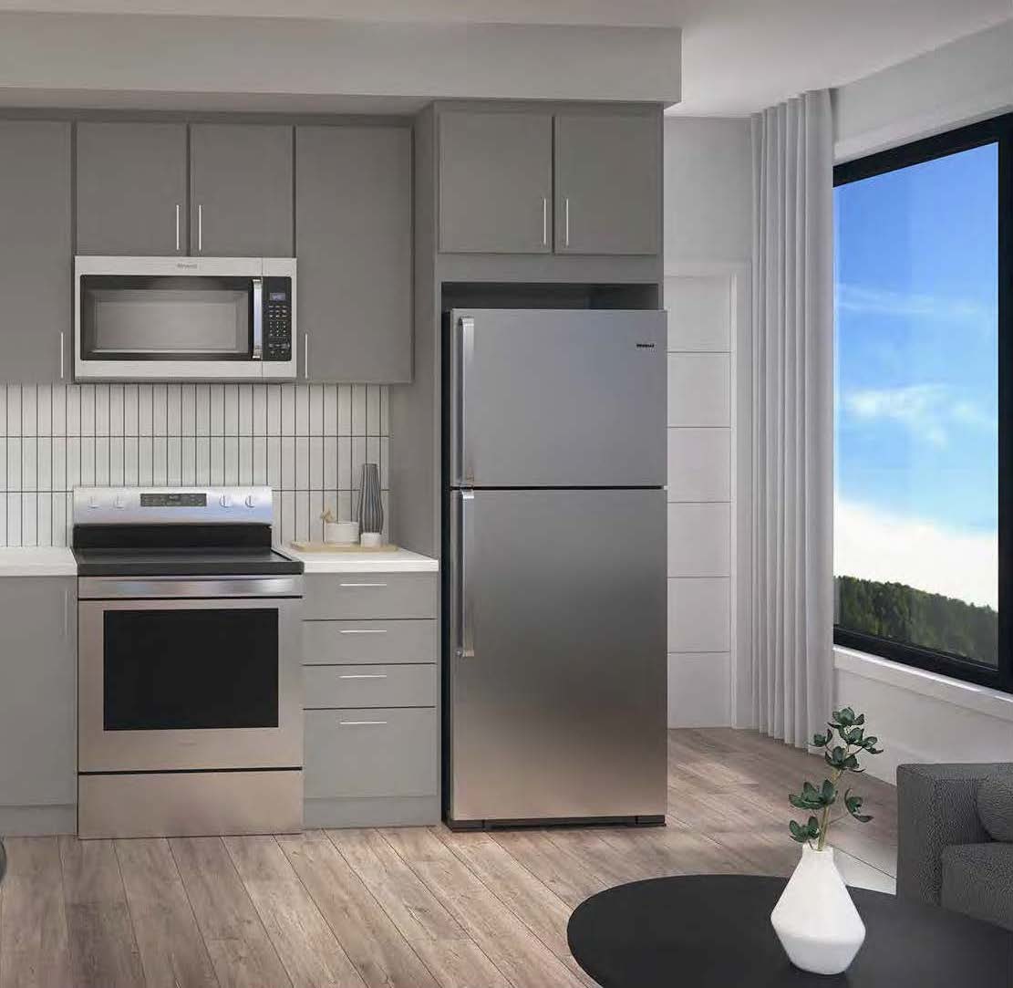 Rendering of Spur Line Common suite kitchen