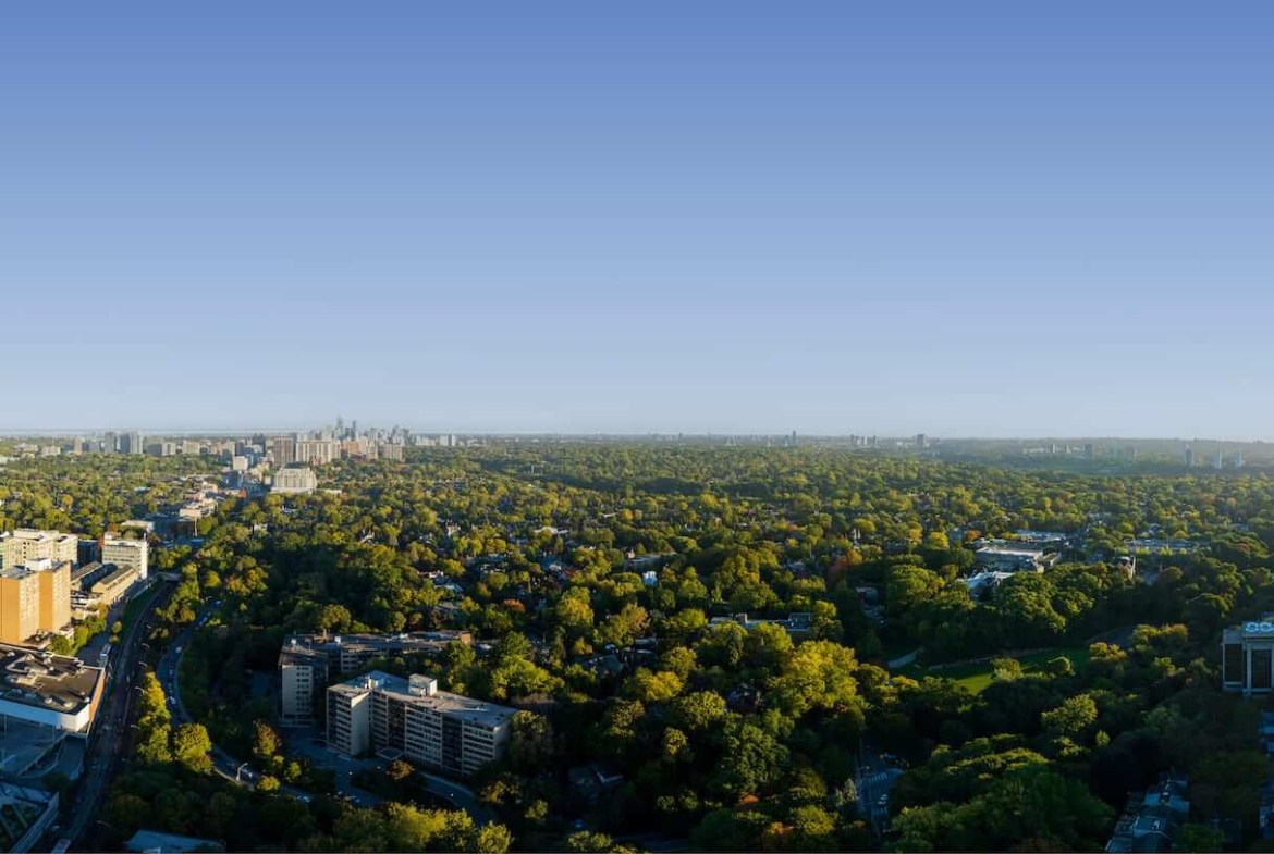 Rendering of Park Road Condos panoramic north view